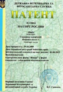 Ліміт Ліміт Патент