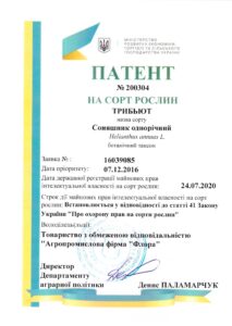 Трибьют - Патент Трибьют - Патент