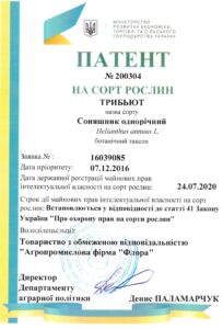 Трибьют - Патент