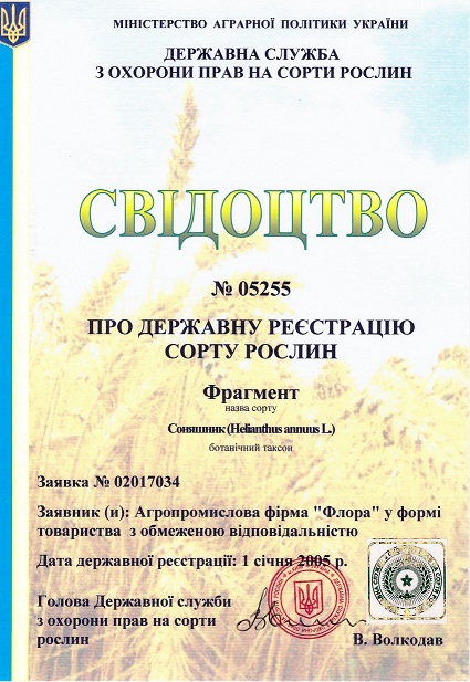 Фрагмент свідотство 1